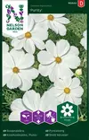 PUNAKOSMOSKUKKA PURITY - Muut kesäkukkien siemenet - 7312600950443 - 2