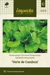 SALAATTIVUONANKAALI VERTE DE CAMBRAI - Muut vihannesten siemenet - 7332756295793 - 1