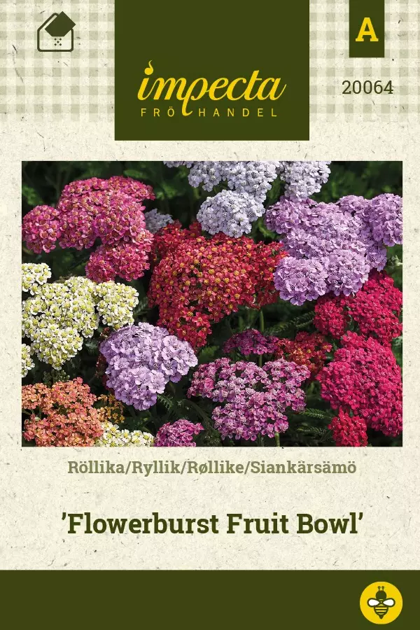 SIANKÄRSÄMÖ FLOWERBURST BOWL - Perennojen siemenet - 7332756200643 - 1