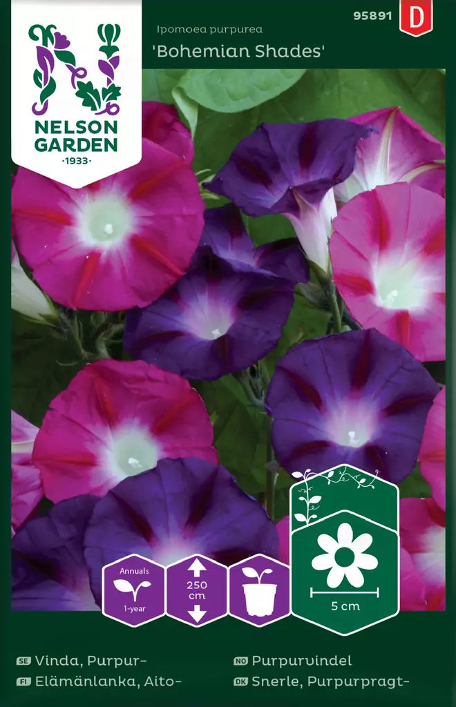 AITOELÄMÄNLANKA BOHEMIAN SHADES - Muut kesäkukkien siemenet - 7312600958913 - 2