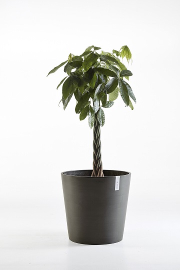 AMSTERDAM RUUKKU TUMMANHARMAA 60 CM - Muoviruukut - 5413724303343 - 1