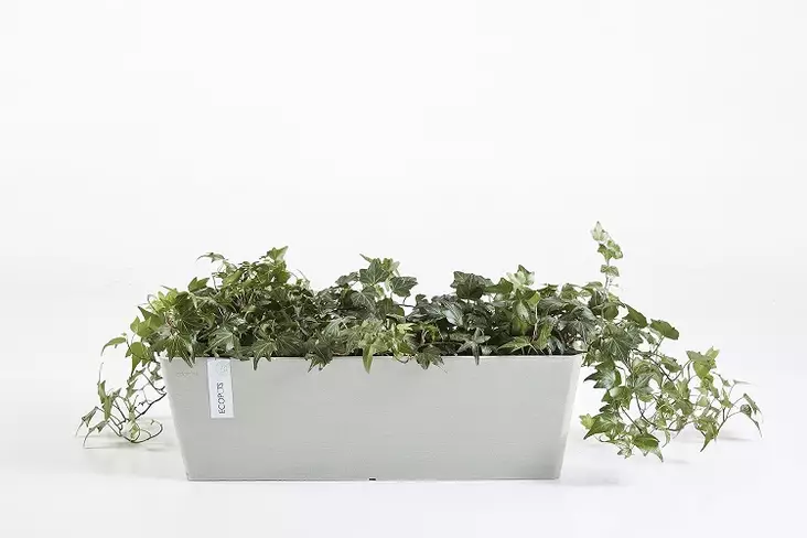 BRUGE RUUKKU VALKOHARMAA 55 CM - Parvekelaatikot - 5413724301363 - 1