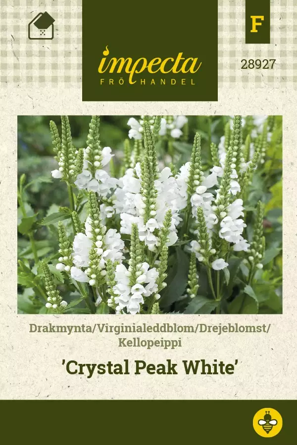 KELLOPEIPPI CHRYSTAL PEAK WHITE - Perennojen siemenet - 7332756289273 - 1