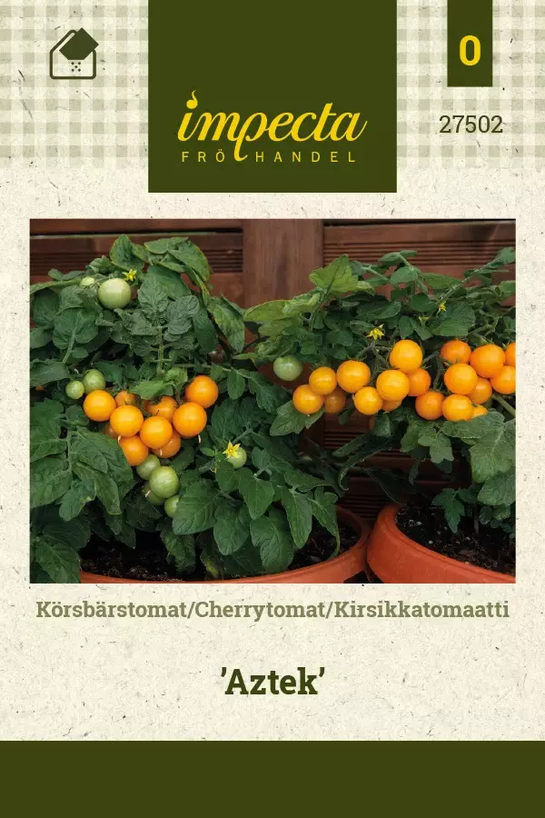 KIRSIKKATOMAATTI AZTEK - Tomaatin siemenet - 7332756275023 - 1