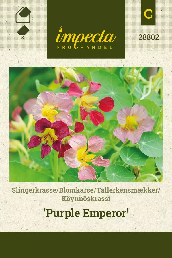 KÖYNNÖSKRASSI PURPLE EMPEROR - Krassin siemenet - 7332756288023 - 1