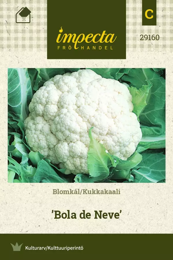 KUKKAKAALI BOLA DE NEVE - Kaalin siemenet - 7332756291603 - 1