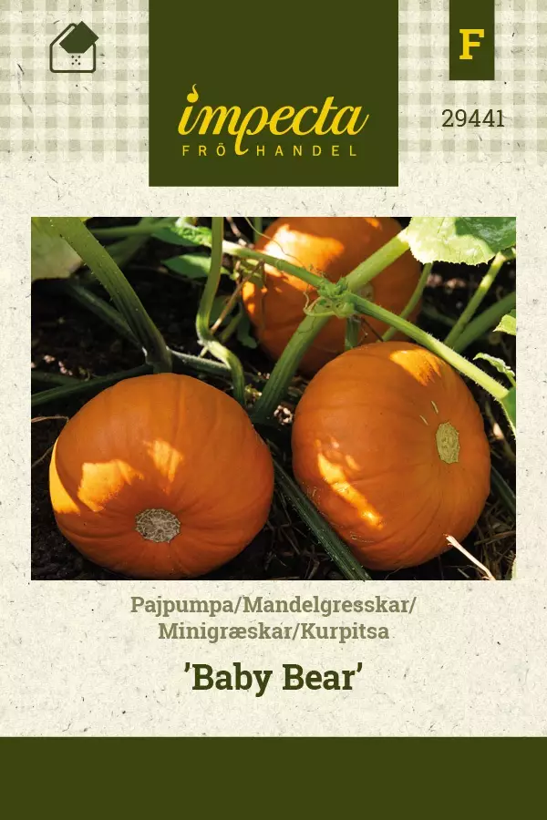 KURPITSA BABY BEAR - Kurpitsan siemenet - 7332756294413 - 1