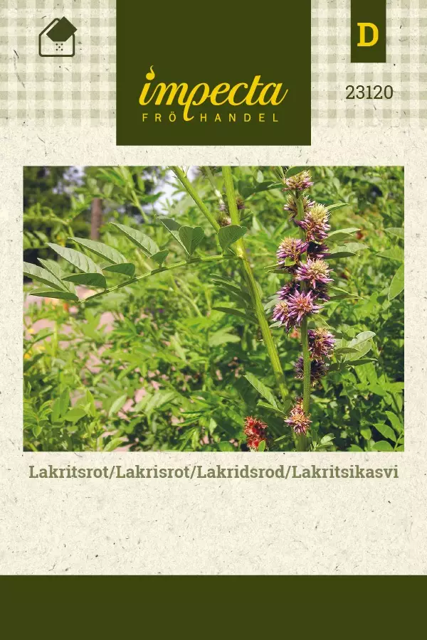 LAKRITSIKASVI - Muut yrttien siemenet - 7332756231203 - 1