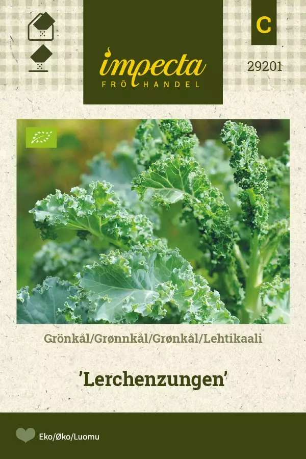 LEHTIKAALI LERCHENZUNGEN - Kaalin siemenet - 7332756292013 - 1