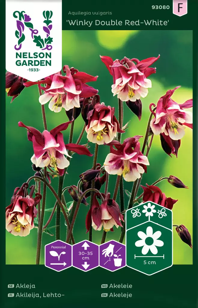 LEHTOAKILEIJA DOUBLE WINKY RED-WHITE - Perennojen siemenet - 7312600930803 - 2