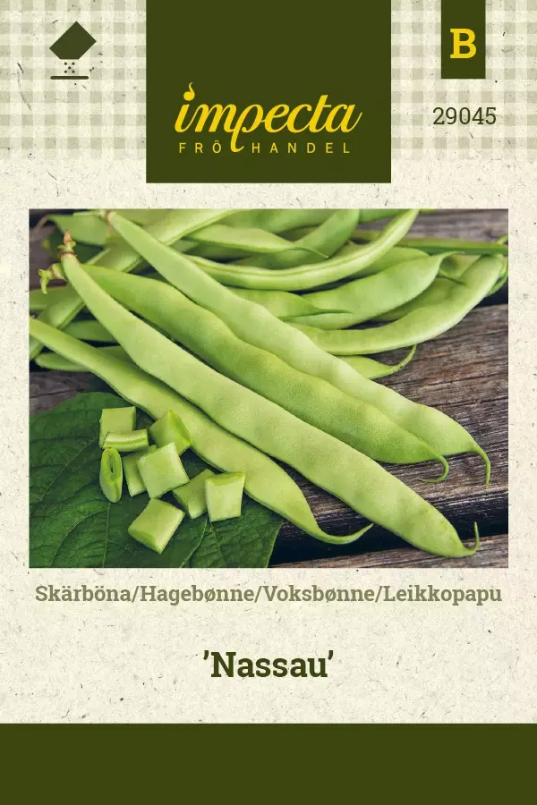 LEIKKOPAPU NASSAU - Pavun siemenet - 7332756290453 - 1