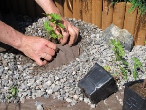 MAISEMOINTIKANGAS 16 m2 - Kankaat, harsot ja verkot - 6430040621523 - 1