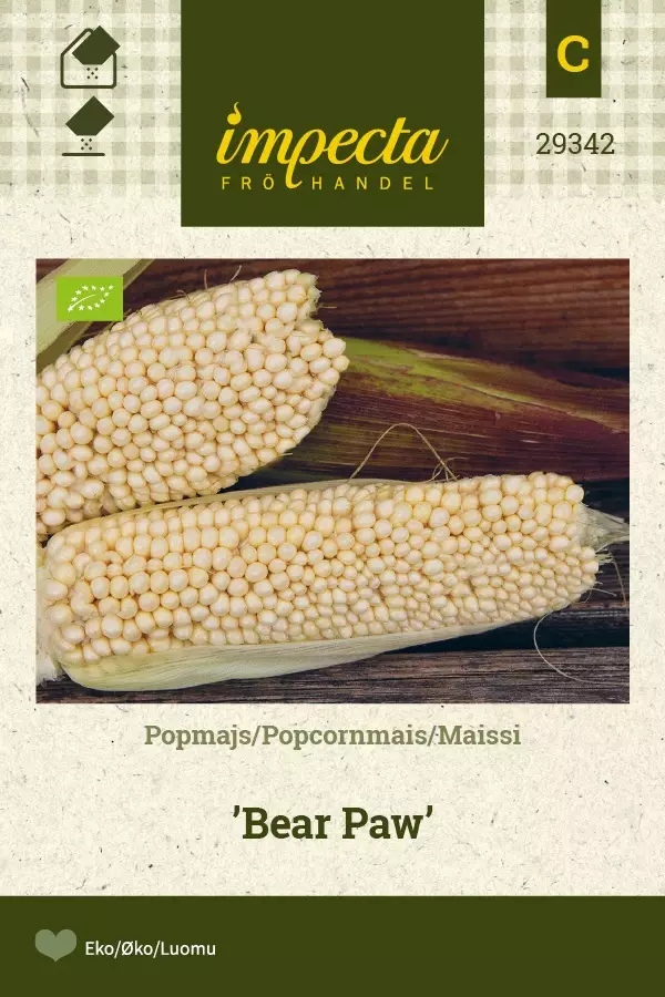 MAISSI BEAR PAW - Muut vihannesten siemenet - 7332756293423 - 1