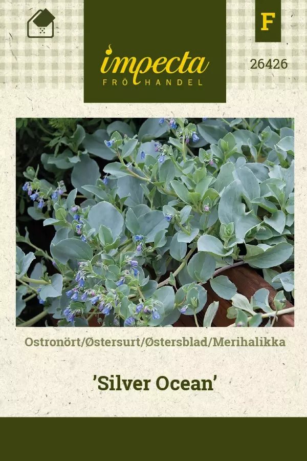 MERIHALIKKA SILVER OCEAN - Perennojen siemenet - 7332756264263 - 1
