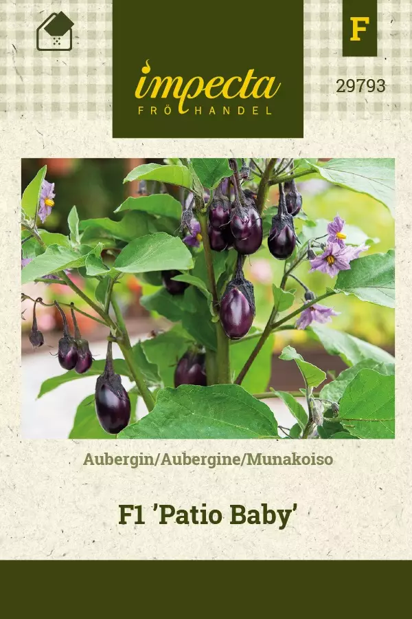 MUNAKOISO PATIO BABY - Muut vihannesten siemenet - 7332756297933 - 1
