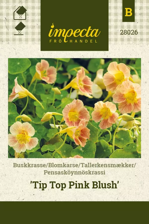 PENSASKÖYNNÖSKRASSI TIP TOP PINK BLUSH - Krassin siemenet - 7332756280263 - 1