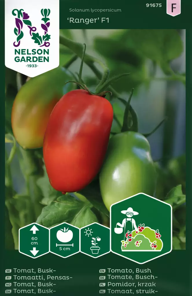PENSASTOMAATTI RANGER F1 - Tomaatin siemenet - 7312600916753 - 1