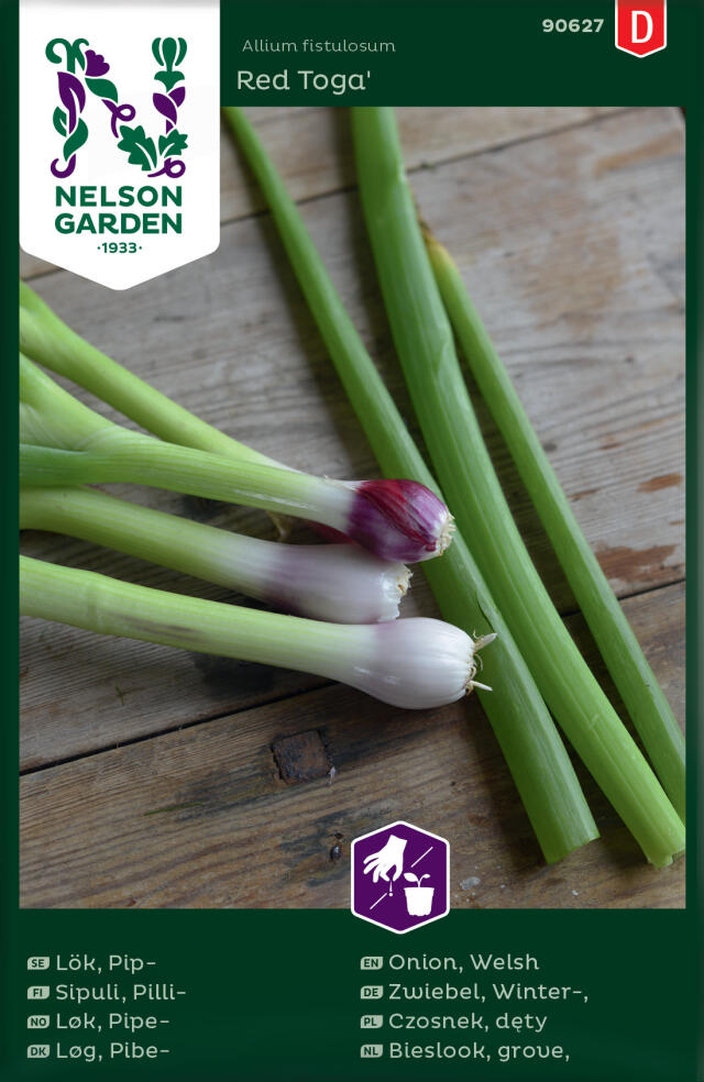 PILLISIPULI RED TOGA - Muut vihannesten siemenet - 7312600906273 - 1