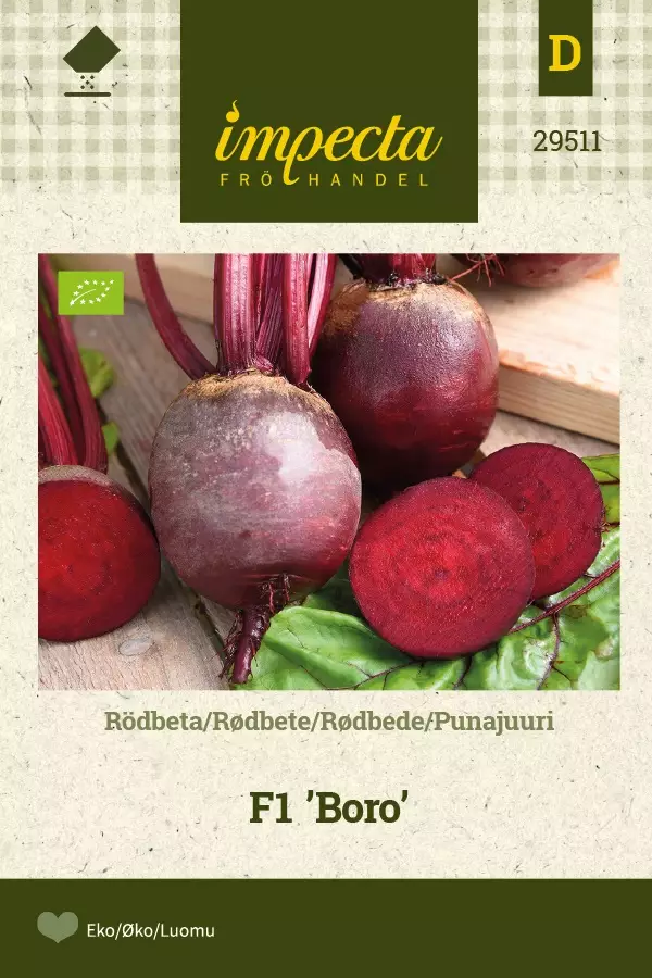 PUNAJUURI BORO - Punajuuren siemenet - 7332756295113 - 1