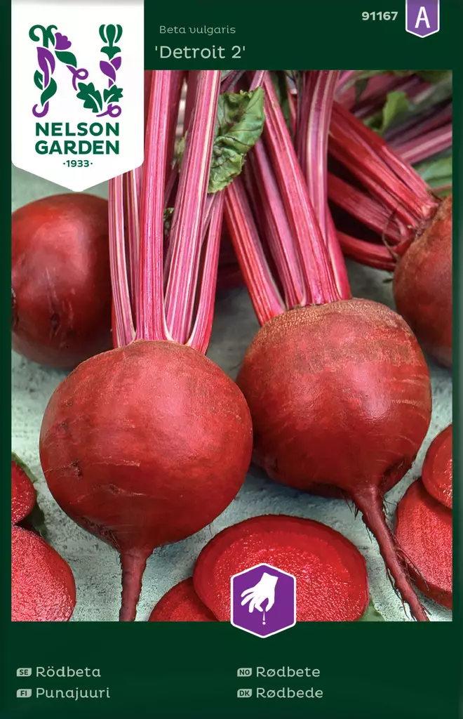 PUNAJUURI DETROIT 2 - Punajuuren siemenet - 7312600911673 - 2