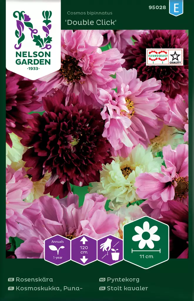 PUNAKOSMOSKUKKA DOUBLE CLICK, SEOS - Muut kesäkukkien siemenet - 7312600950283 - 2