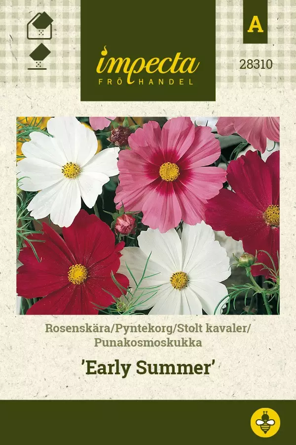 PUNAKOSMOSKUKKA EARLY SUMMER - Muut kesäkukkien siemenet - 7332756283103 - 1