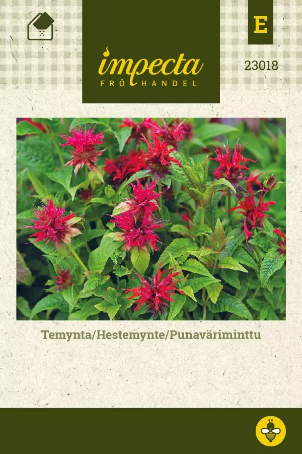 PUNAVÄRIMINTTU - Muut kesäkukkien siemenet - 7332756230183 - 1