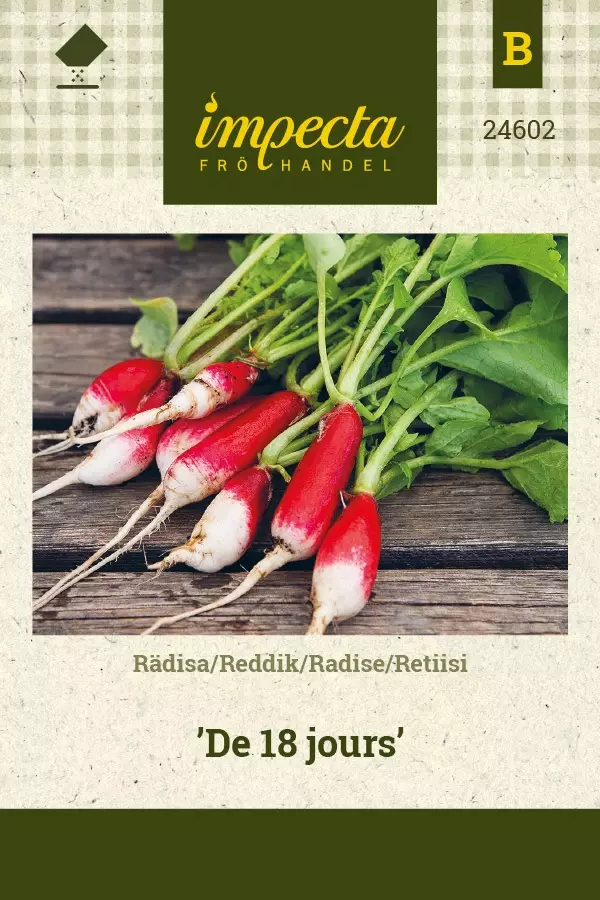 RETIISI DE 18 JOURS - Muut vihannesten siemenet - 7332756246023 - 1