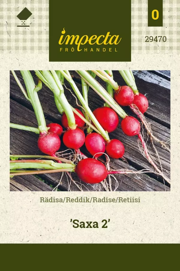 RETIISI SAXA 2 - Muut vihannesten siemenet - 7332756294703 - 1
