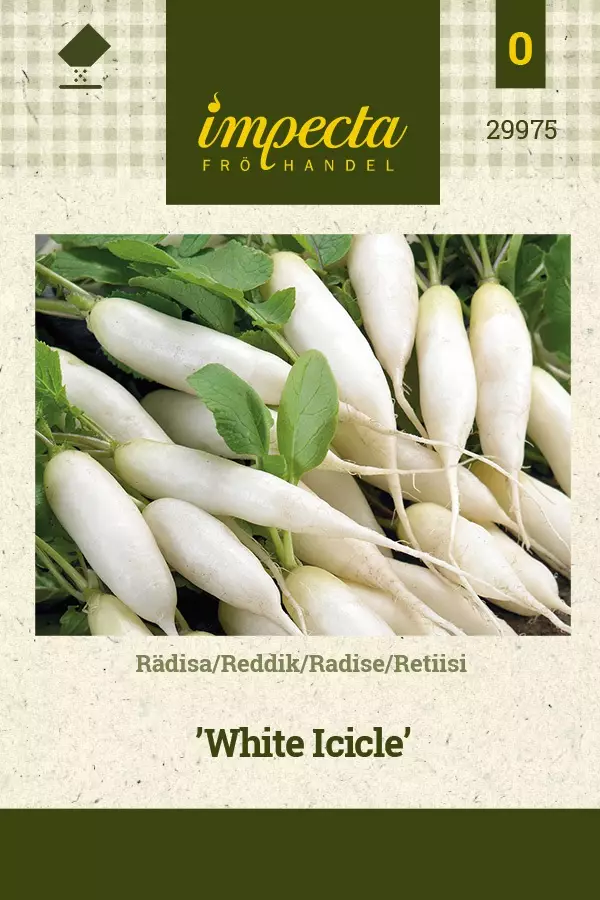 RETIISI WHITE ICICLE - Muut vihannesten siemenet - 7332756299753 - 1