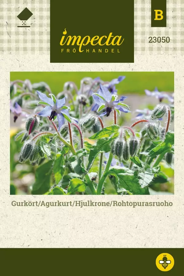 ROHTOPURASRUOHO - Muut yrttien siemenet - 7332756230503 - 1