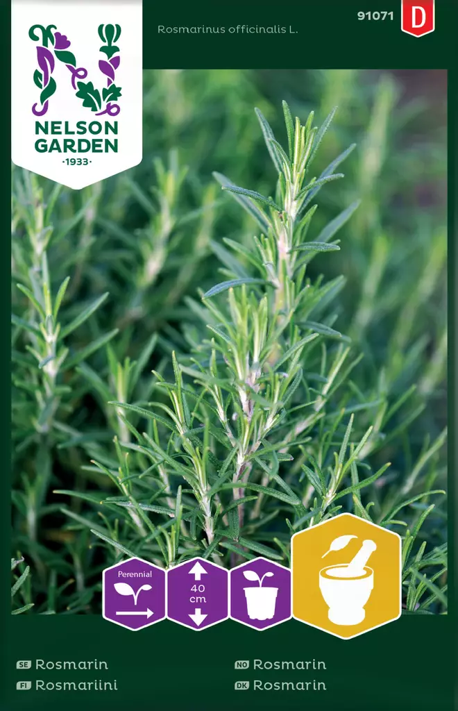 ROSMARIINI - Muut yrttien siemenet - 7312600910713 - 1
