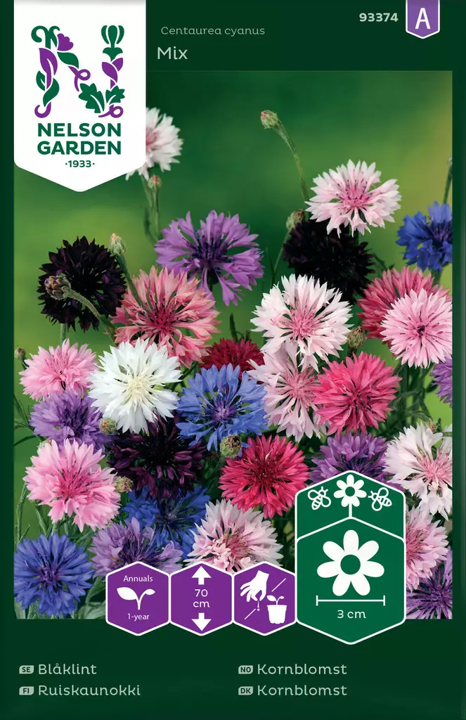 RUISKAUNOKKI VÄRISEOS - Muut kesäkukkien siemenet - 7312600933743 - 2