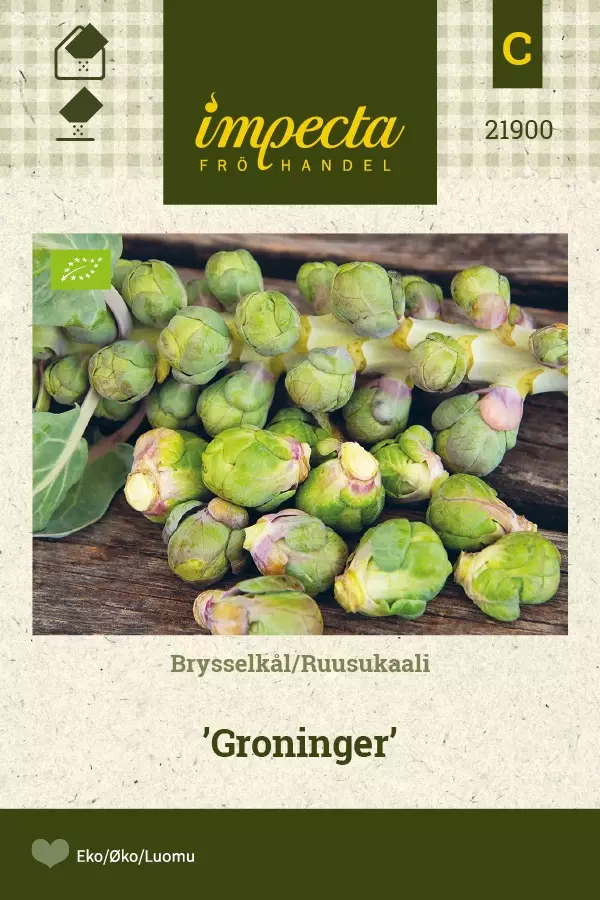 RUUSUKAALI GRONINGER - Kaalin siemenet - 7332756219003 - 1