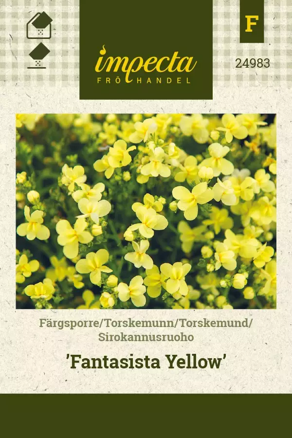 SIROKANNUSRUOHO FANTASISTA YELLOW - Muut kesäkukkien siemenet - 7332756249833 - 1