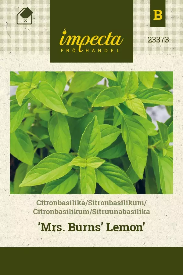 SITRUUNABASILIKA MRS.BURNS' LEMON - Basilikan siemenet - 7332756233733 - 1