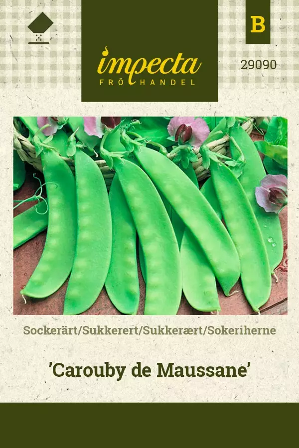 SOKERIHERNE CAROUBY DE MAUSSANE - Herneen siemenet - 7332756290903 - 1