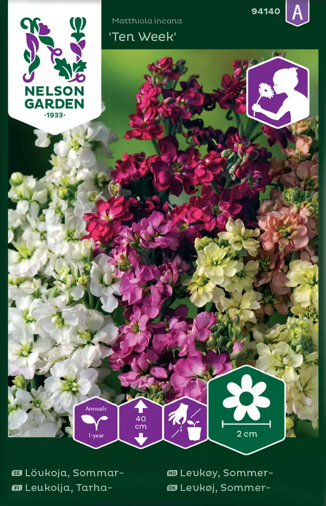 TARHALEUKOIJA TEN WEEK, SEOS - Muut kesäkukkien siemenet - 7312600941403 - 2