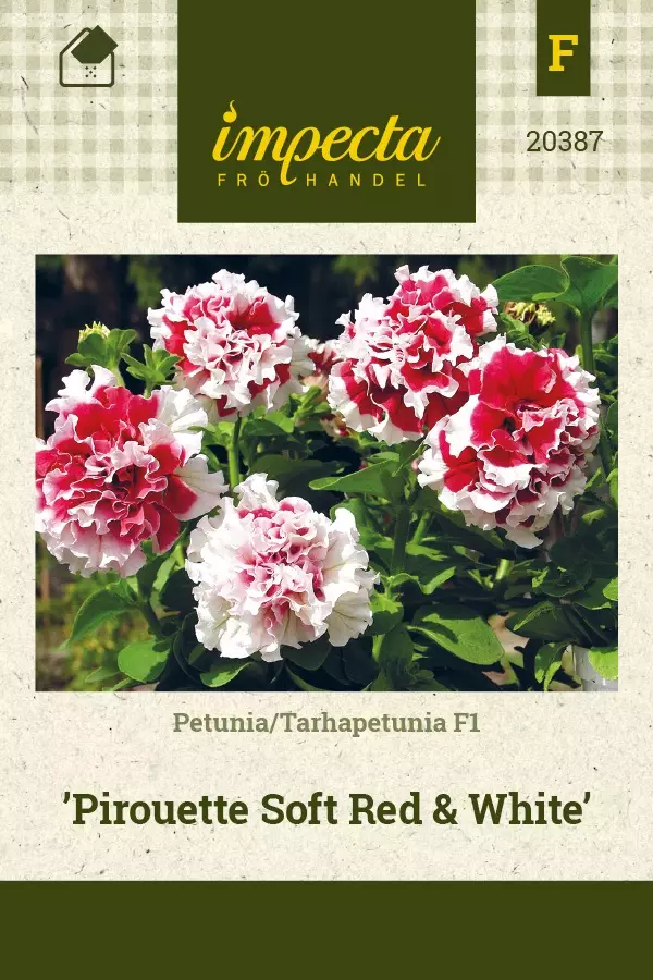 TARHAPETUNIA PIROUETTE SOFT RED & WHITE - Muut kesäkukkien siemenet - 7332756203873 - 1