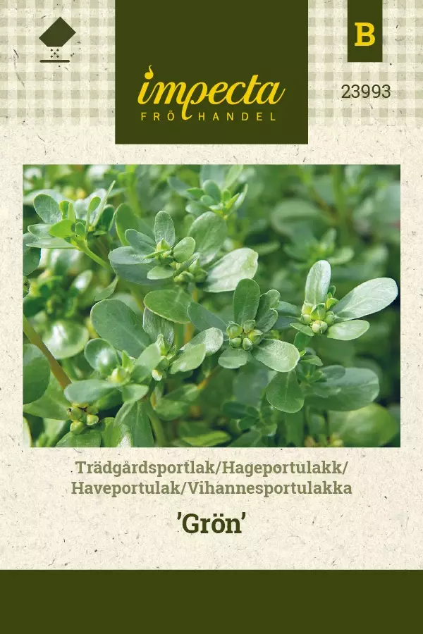 VIHANNESPORTULAKKA GRÖN - Muut kesäkukkien siemenet - 7332756239933 - 1