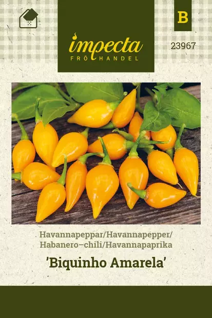 HAVANNAPAPRIKA BIQUINHO AMARELA - Paprikan ja chilin siemenet - 7332756239674 - 1