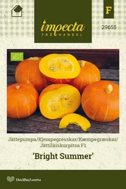 JÄTTIKURPITSA BRIGHT SUMMER - Kurpitsan siemenet - 7332756296554 - 1