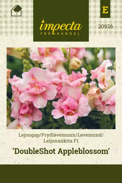 LEIJONANKITA DOUBLESHOT APPLEBLOSSOM F1 - Muut kesäkukkien siemenet - 7332756209264 - 1