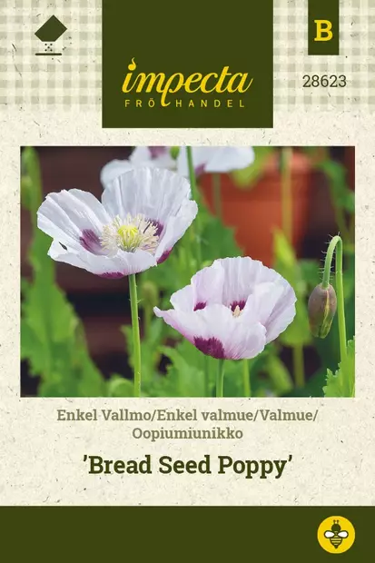 OOPIUMIUNIKKO BREAD SEED POPPY - Muut kesäkukkien siemenet - 7332756286234 - 1