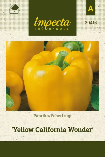 PAPRIKA YELLOW CALIFORNIA WONDER - Paprikan ja chilin siemenet - 7332756294154 - 1
