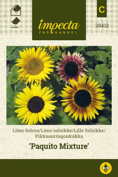 PIKKUAURINGONKUKKA PAQUITO MIXTURE - Auringonkukan siemenet - 7332756284124 - 1