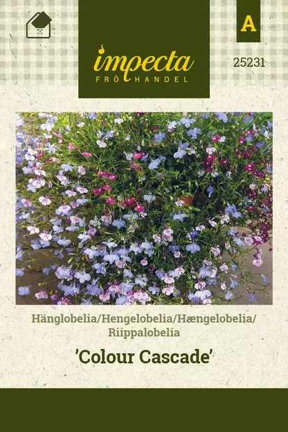 RIIPPALOBELIA COLOUR CASCADE - Muut kesäkukkien siemenet - 7332756252314 - 1