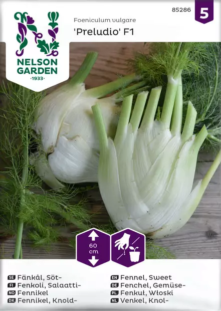 SALAATTIFENKOLI PRELUDIO F1 - Muut vihannesten siemenet - 7312600903104 - 1