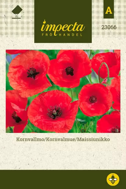 SILKKIUNIKKO - Muut kesäkukkien siemenet - 7332756230664 - 1