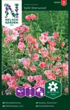 ISOSILKKIKUKKA SYBIL SHERWOOD - Muut kesäkukkien siemenet - 7312600932104 - 2